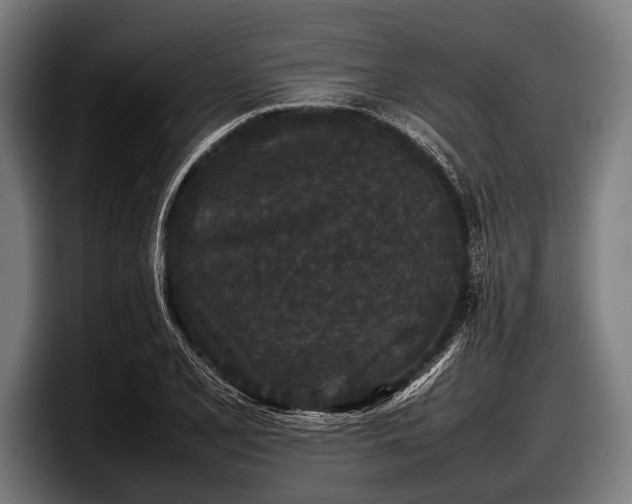 X0000097801077200803201352