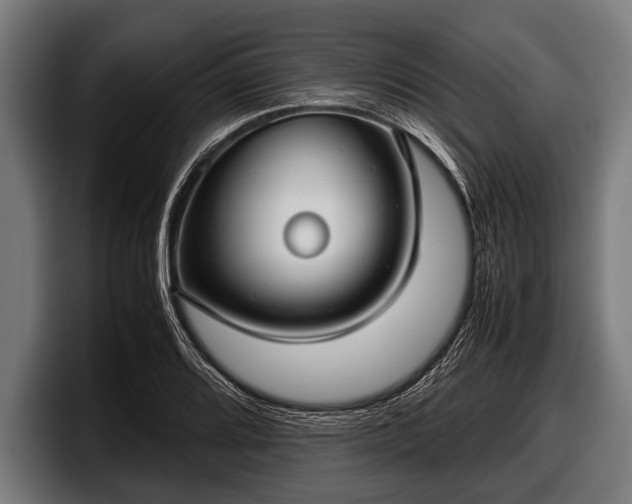 X0000097801080200803201352