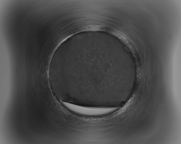 X0000097801081200803201352