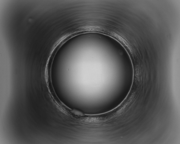 X0000097801082200803201352