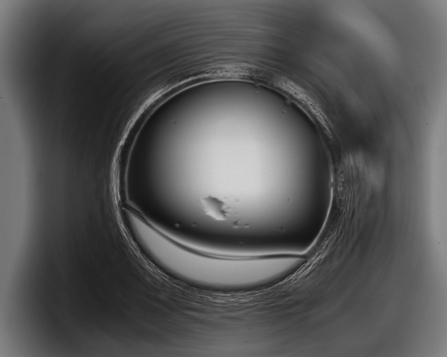 X0000097801083200803201352