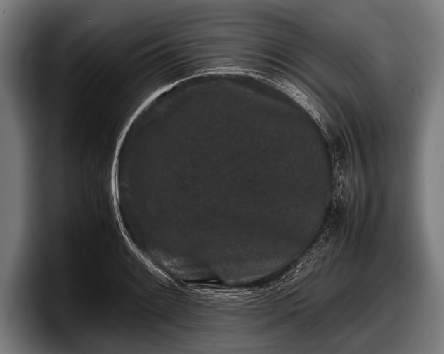 X0000097801084200803201352