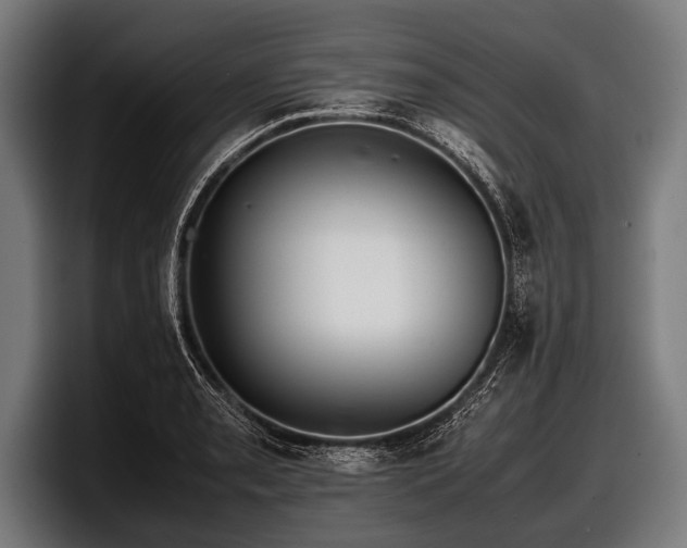 X0000097801085200803201352