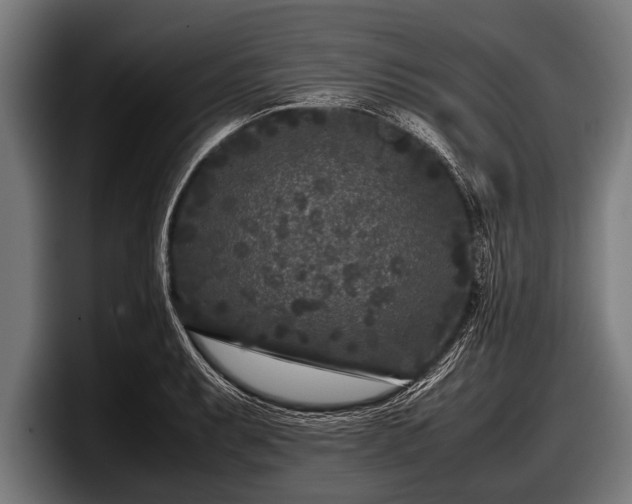 X0000097801087200803201352