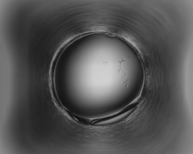 X0000097801088200803201352