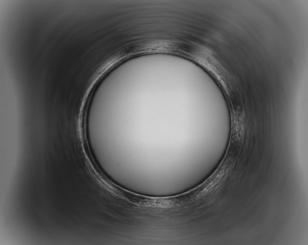 X0000097801090200803201352