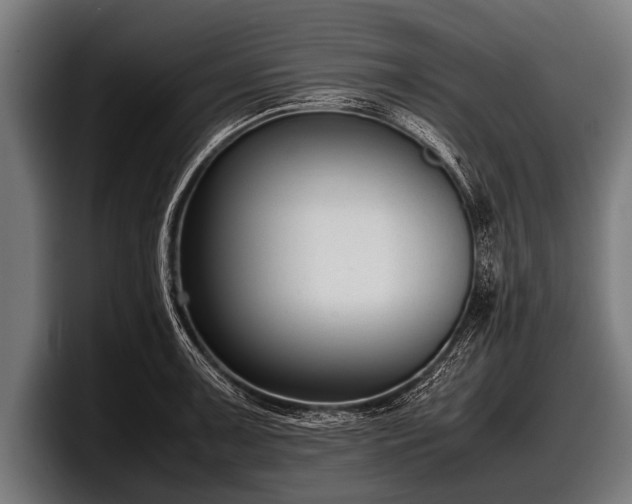 X0000097801091200803201352