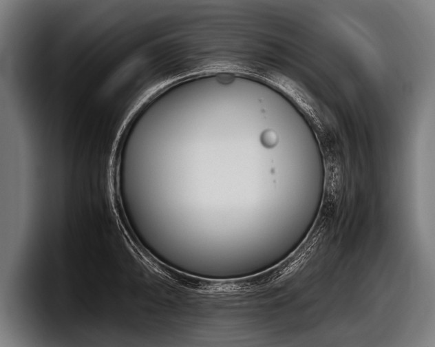 X0000097801094200803201352