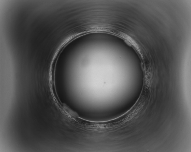 X0000097801096200803201352