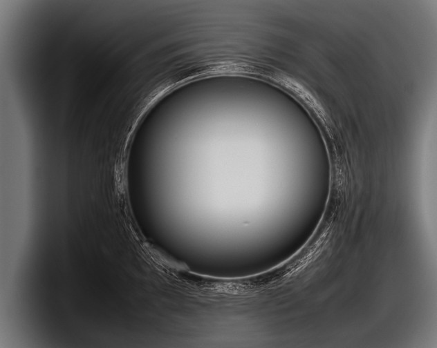 X0000097801097200803201352