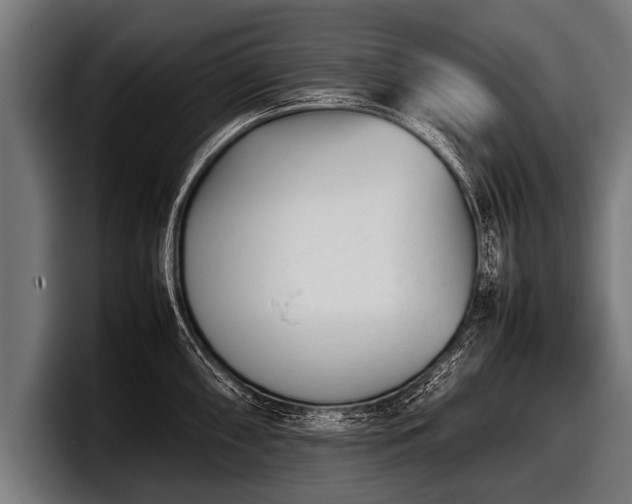 X0000097801098200803201352