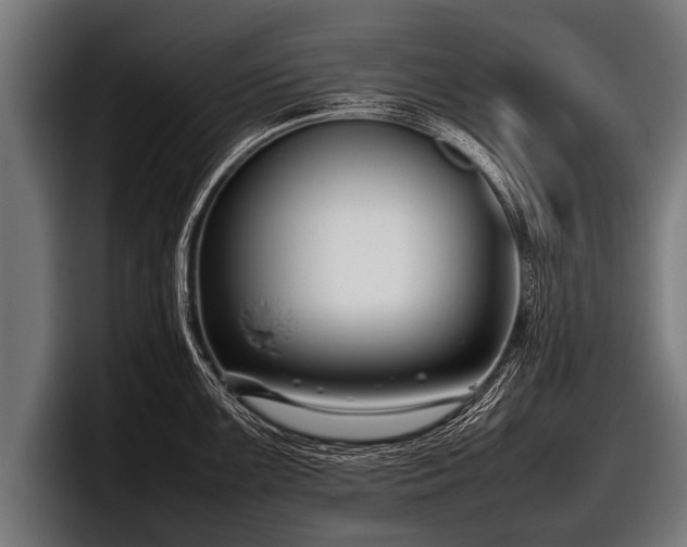 X0000097801099200803201352