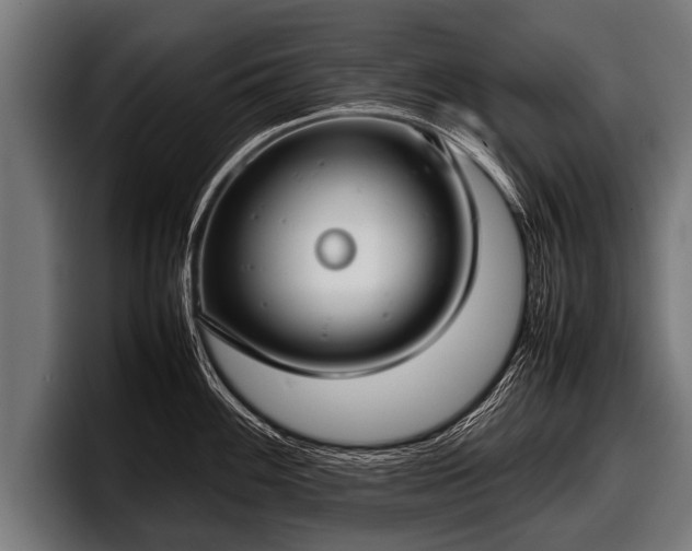 X0000097801100200803201352