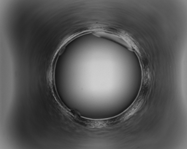 X0000097801101200803201352