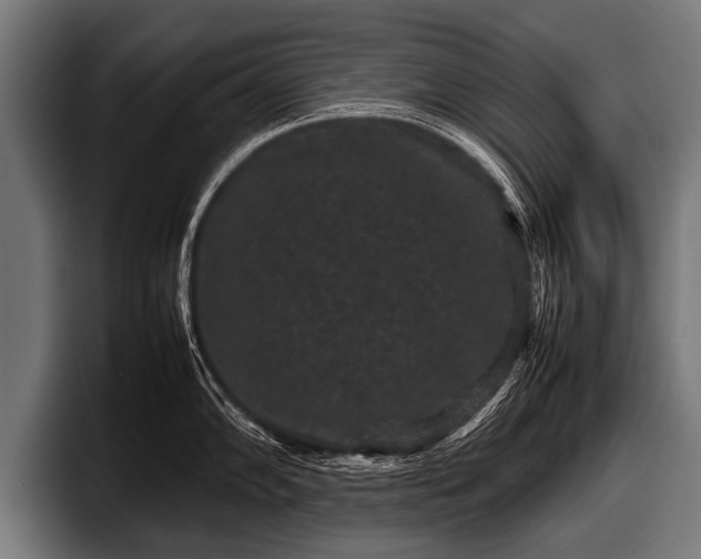 X0000097801102200803201352