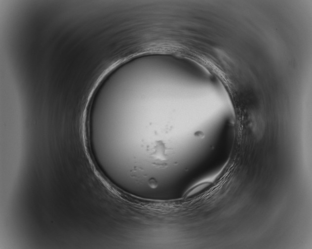 X0000097801103200803201352