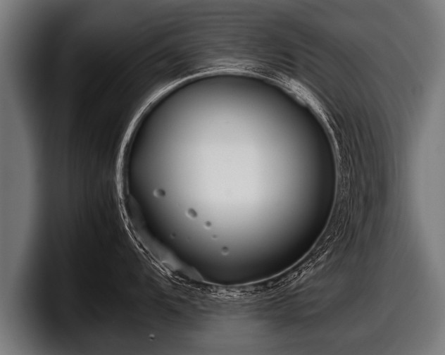 X0000097801104200803201352