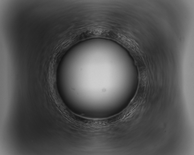 X0000097801105200803201351