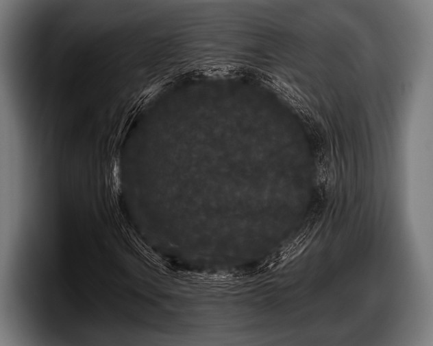 X0000097801106200803201351