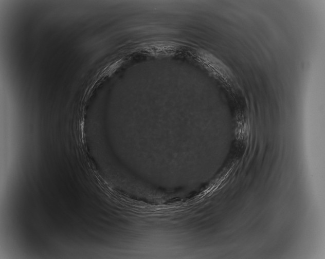 X0000097801108200803201351