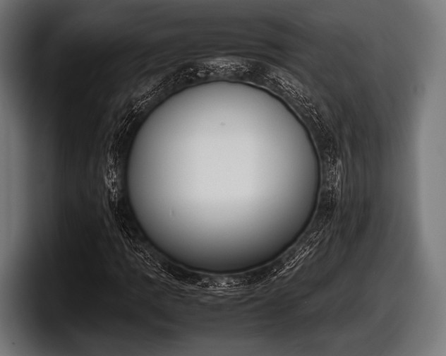 X0000097801109200803201351