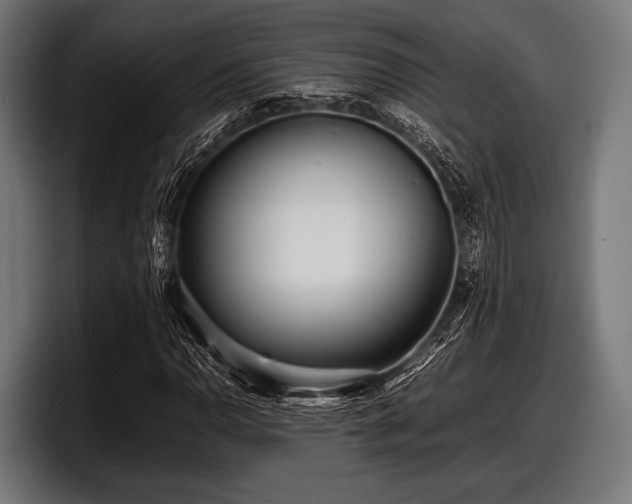 X0000097801110200803201351