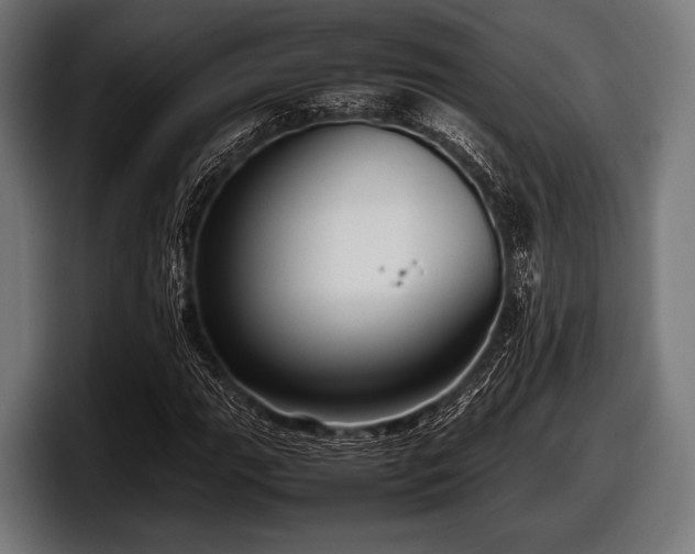 X0000097801111200803201351