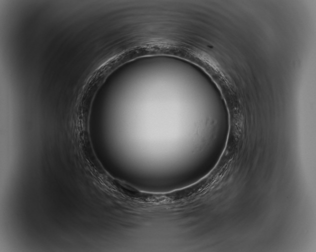 X0000097801112200803201351