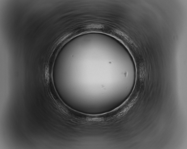 X0000097801113200803201351