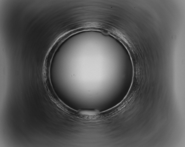 X0000097801116200803201351