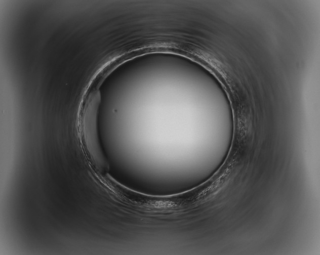 X0000097801119200803201351