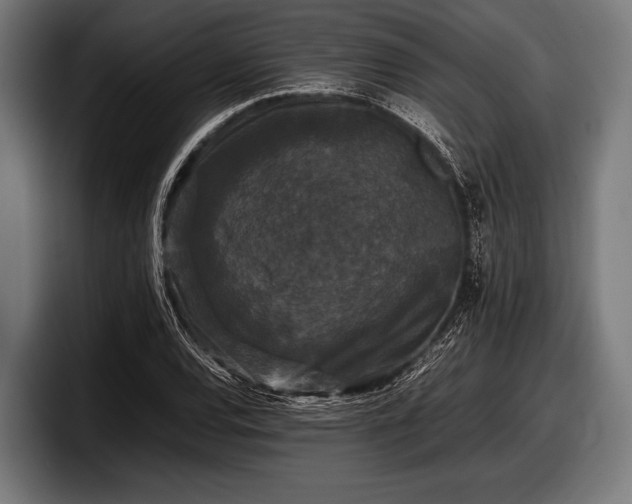 X0000097801120200803201351