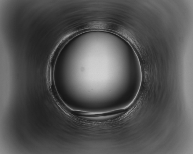 X0000097801123200803201351