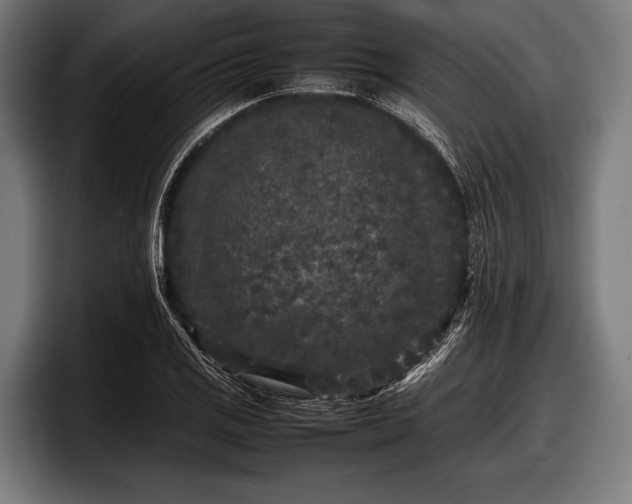 X0000097801125200803201351