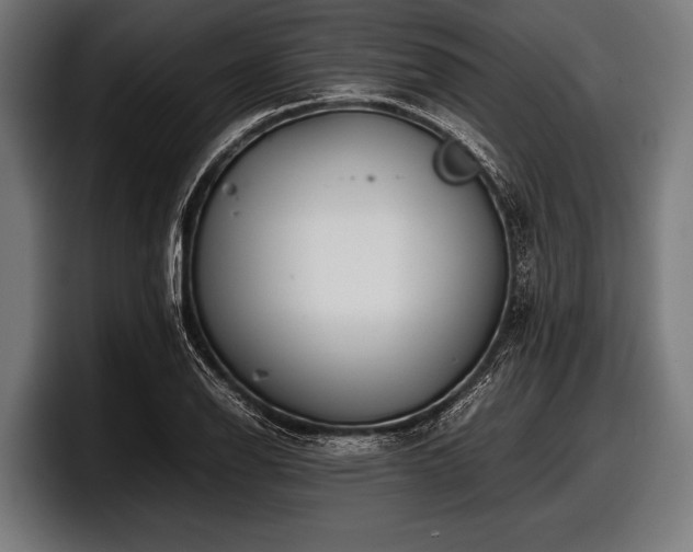 X0000097801126200803201351