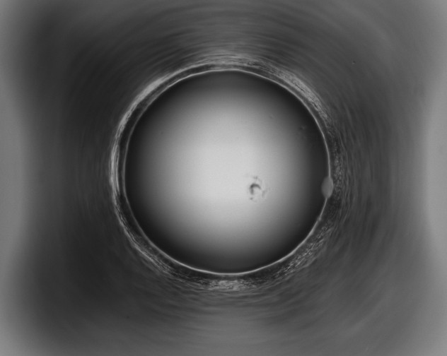 X0000097801128200803201351