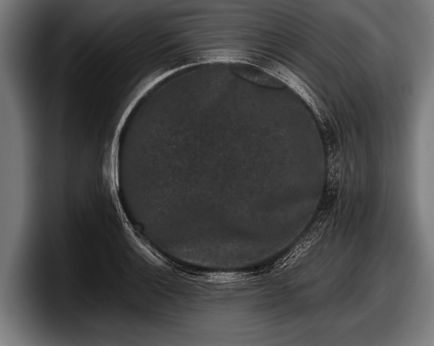 X0000097801132200803201351