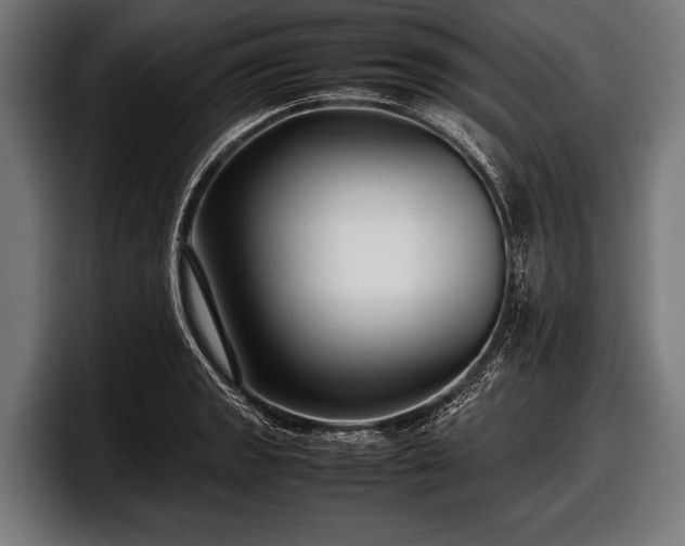 X0000097801133200803201351