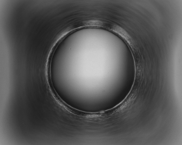 X0000097801135200803201352