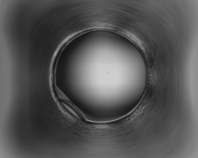 X0000097801136200803201352