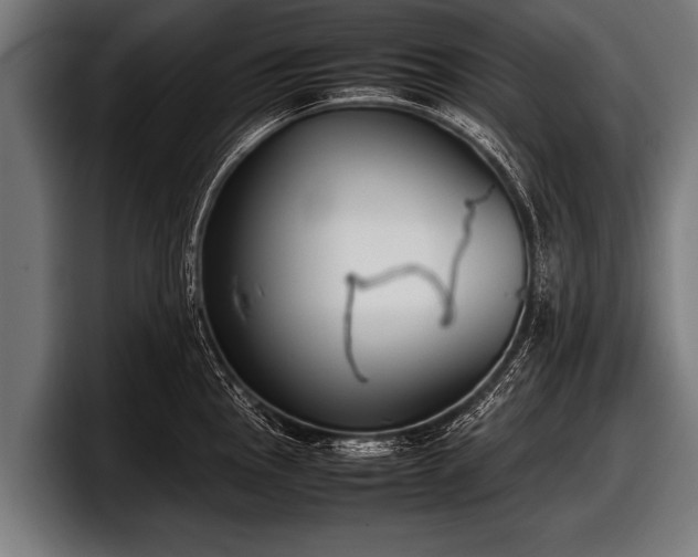 X0000097801145200803201352