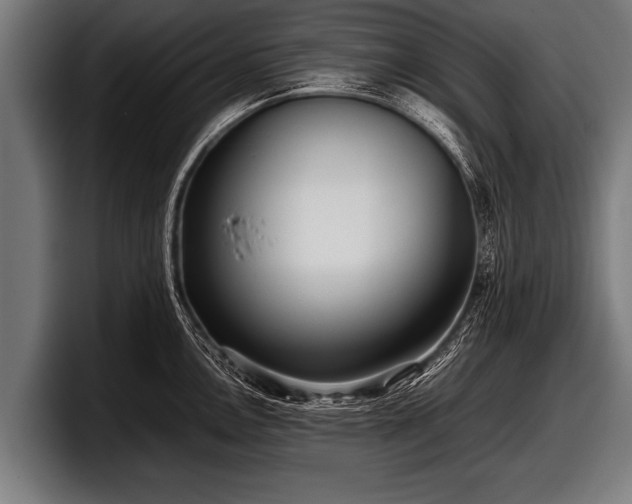 X0000097801146200803201352