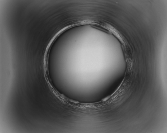 X0000097801148200803201352