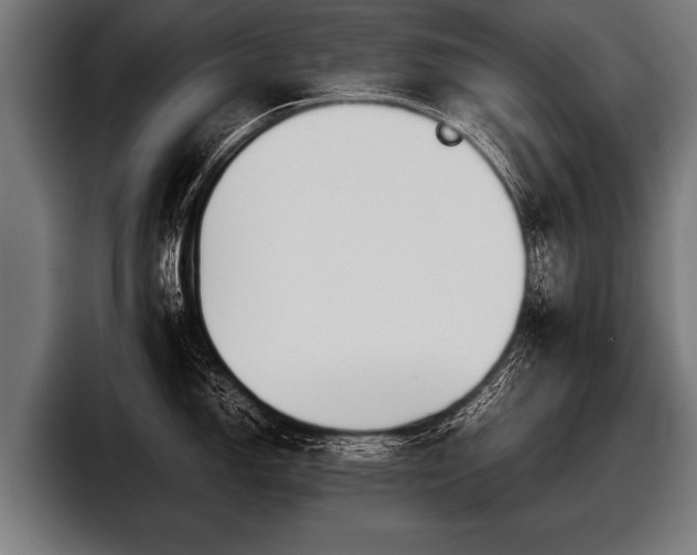 X0000097801150200803201352