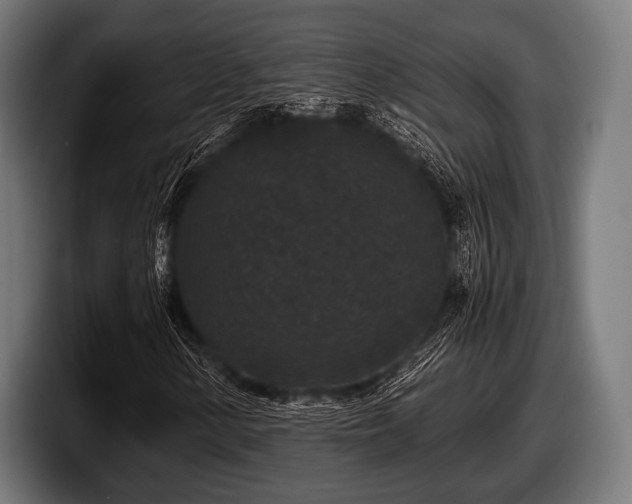 X0000097801154200803201351