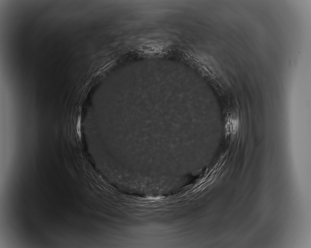 X0000097801156200803201351