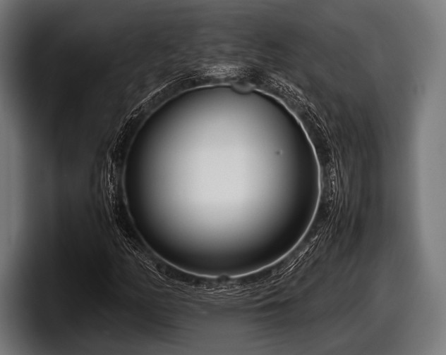 X0000097801158200803201351