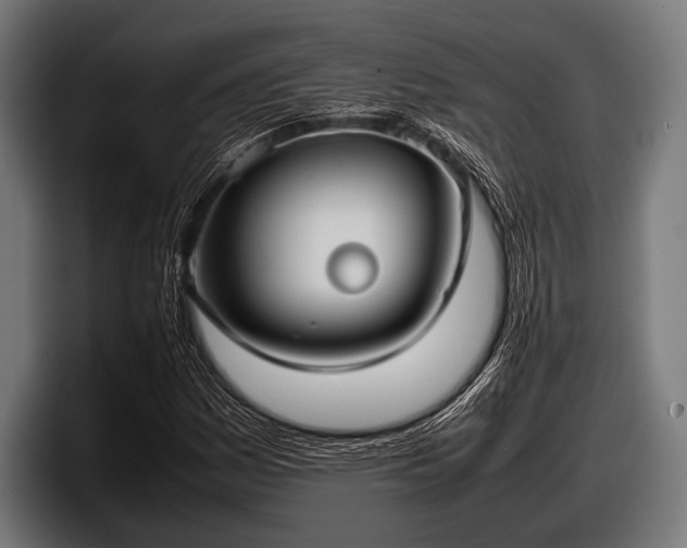 X0000097801161200803201351