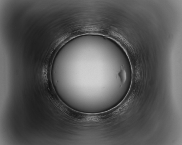 X0000097801162200803201351