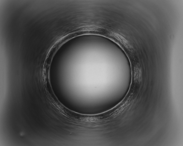 X0000097801164200803201351